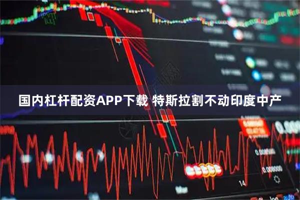 国内杠杆配资APP下载 特斯拉割不动印度中产