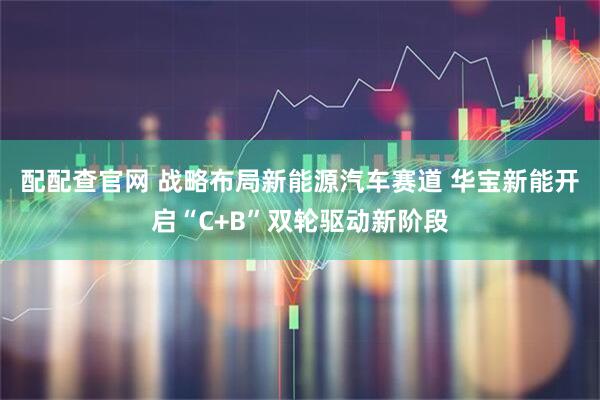 配配查官网 战略布局新能源汽车赛道 华宝新能开启“C+B”双轮驱动新阶段